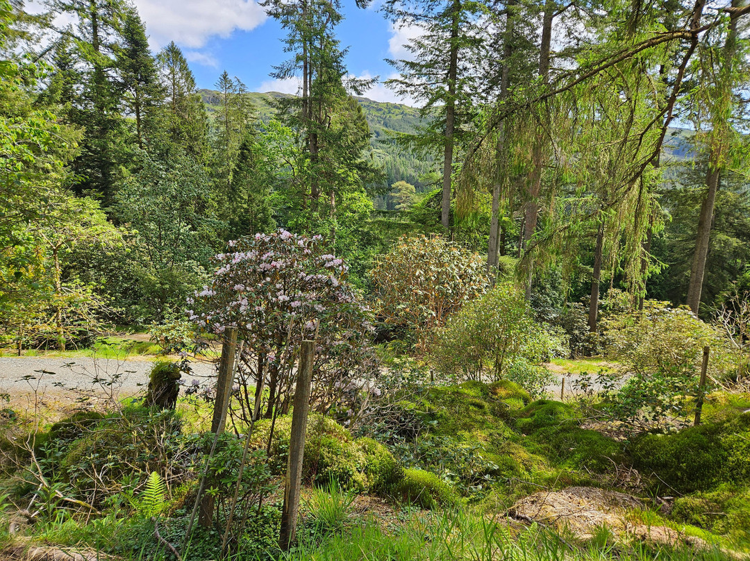Benmore Botanic Garden-Benmore必去景点