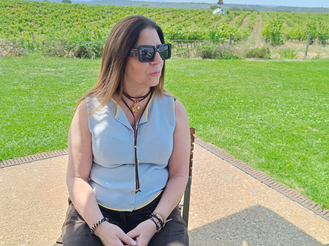 Bodegas Campo Viejo-洛格罗尼奥必去景点