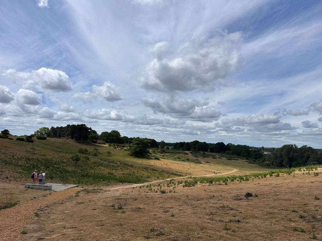 Sutton Hoo-Woodbridge必去景点