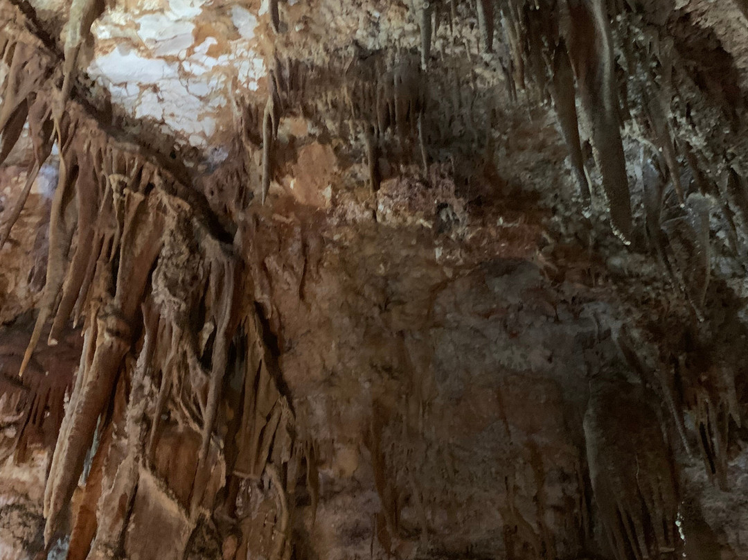 Grotta del Trullo-Putignano必去景点