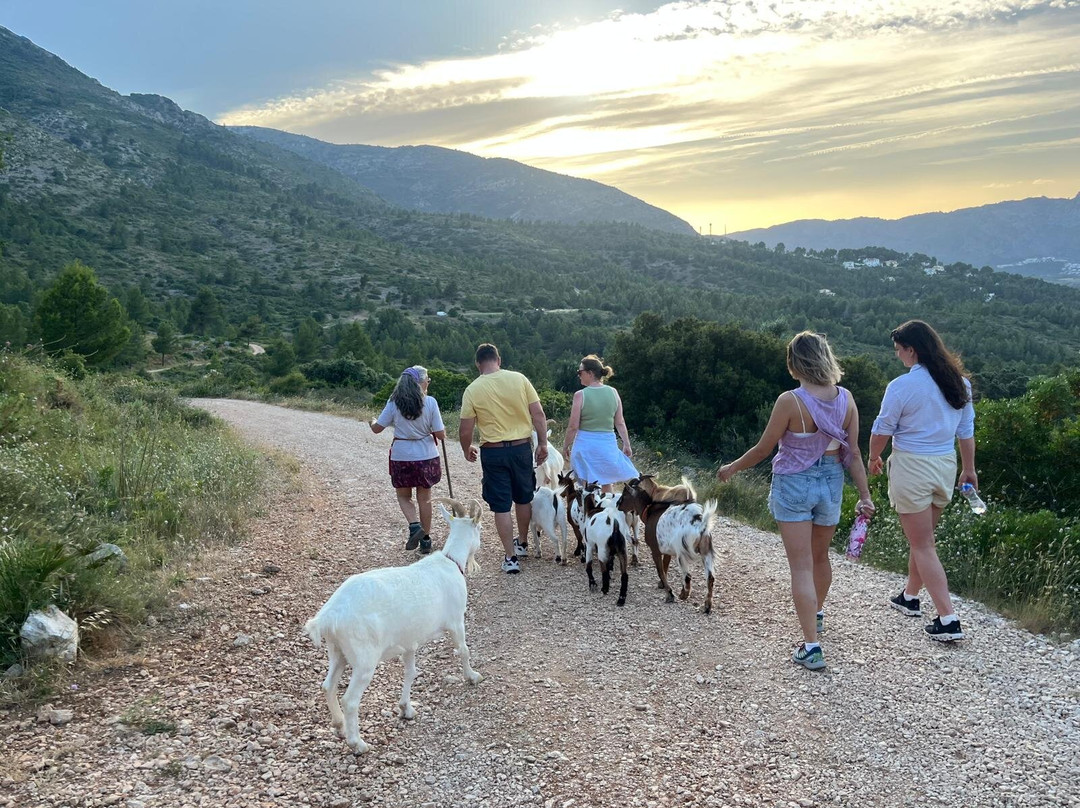 Euro Goat Trekkers-Tarbena必去景点