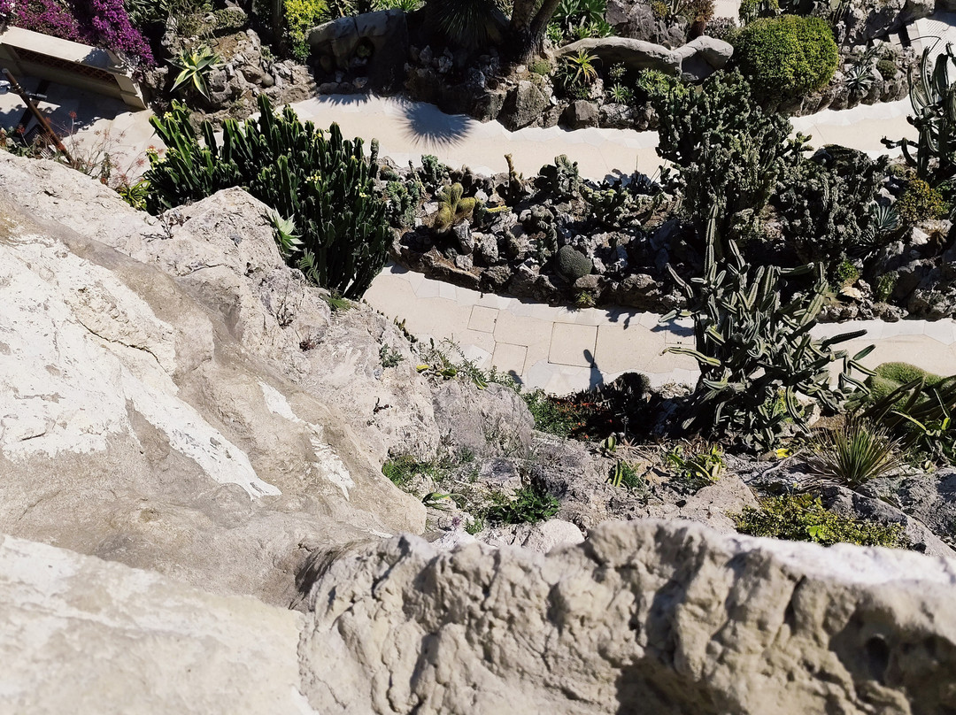 Jardin Exotique de Monaco-摩纳哥城必去景点