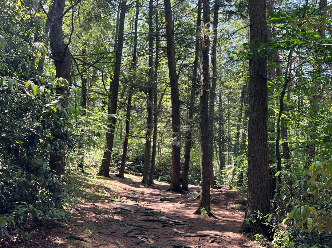 Nay Aug Park-斯克兰顿必去景点