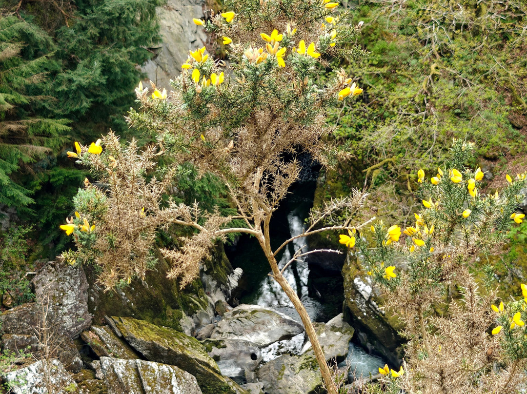 Conwy Falls-Betws-y-Coed必去景点