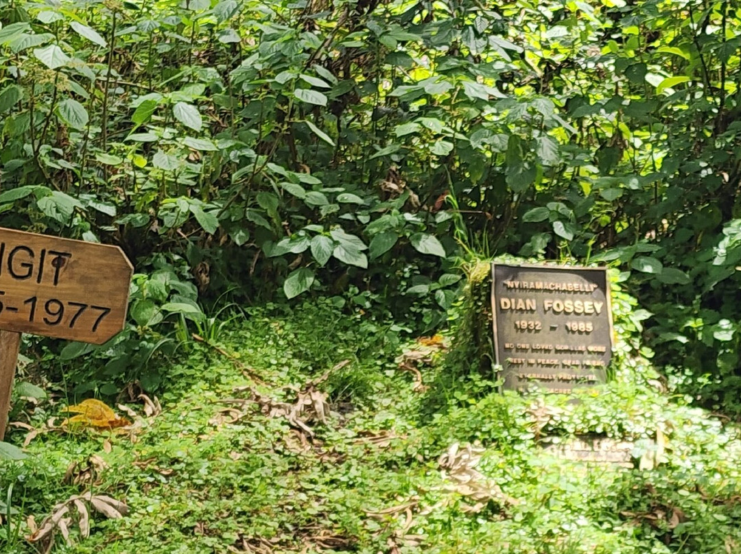 Karisoke Research Center - Dian Fossey Camp-Ruhengeri必去景点