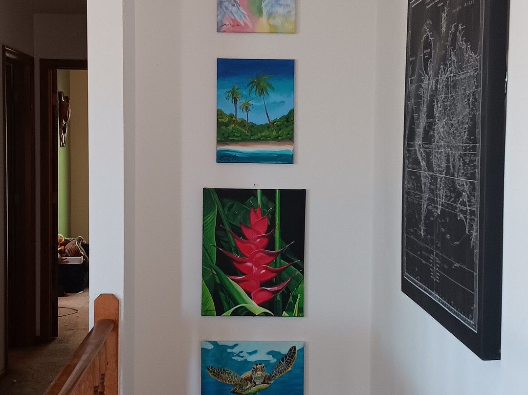 Tamarindo Art Gallery-塔马林多必去景点