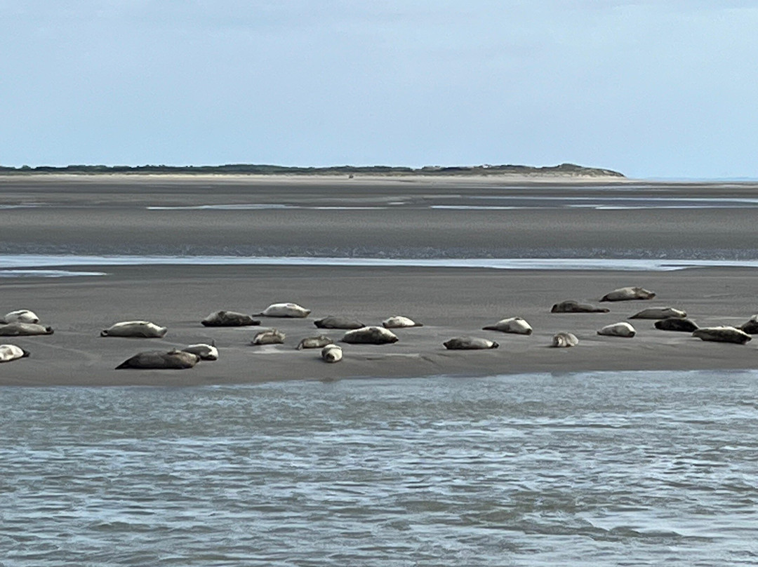 Berck Sur Mer-Berck必去景点