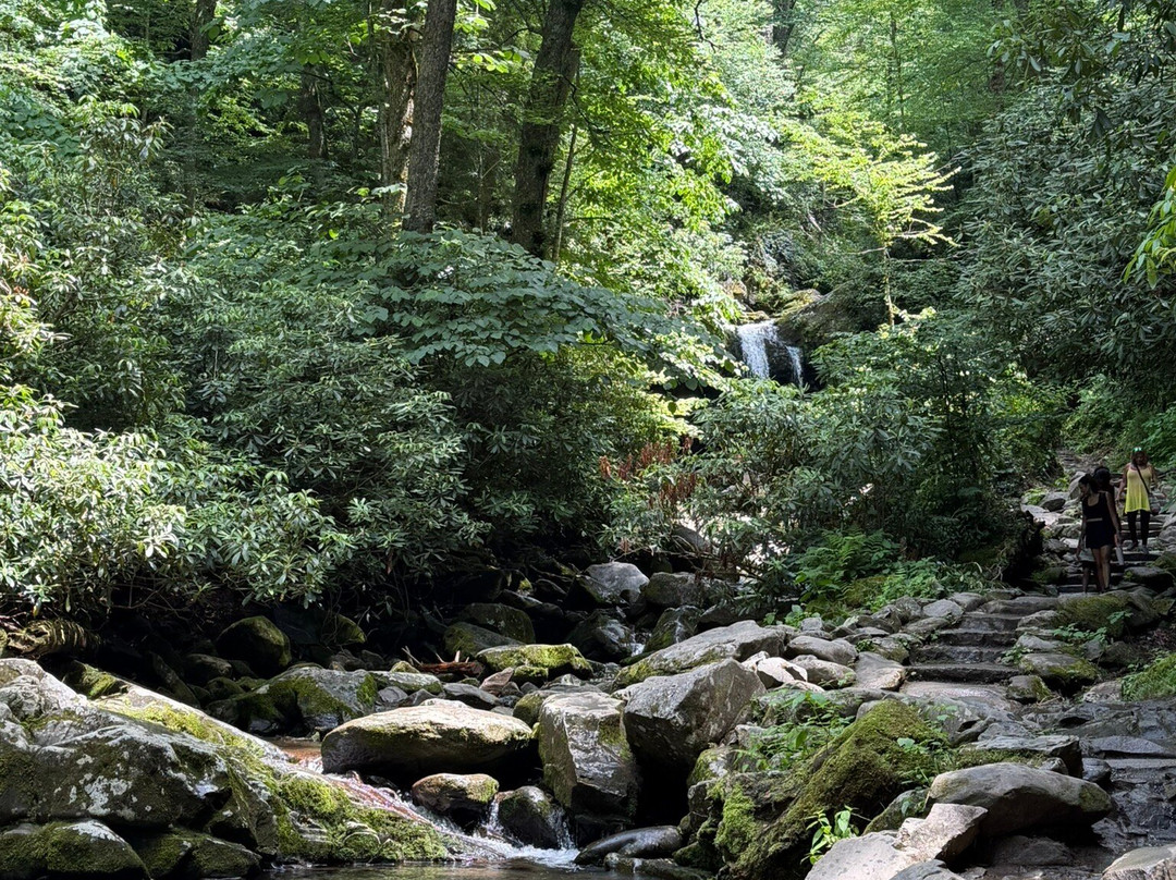 Grotto Falls Trail-大雾山国家公园必去景点