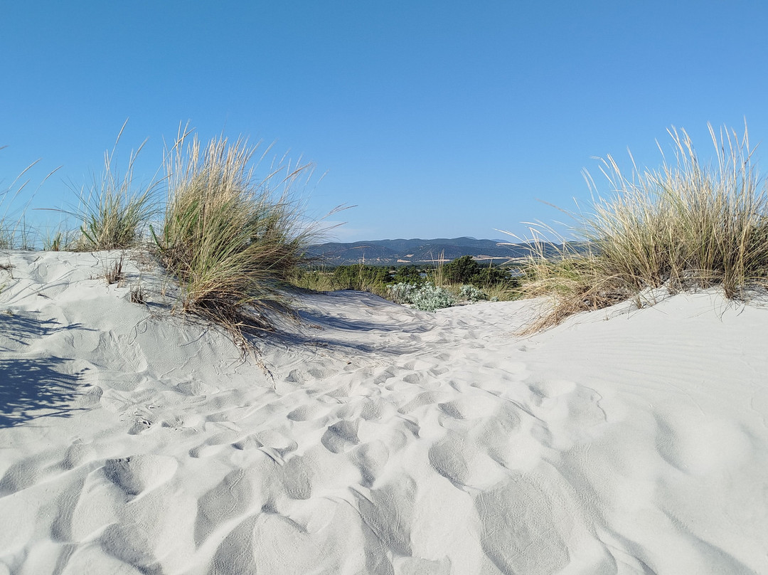 Bahia Porto Pino Beach-Sant'Anna Arresi必去景点