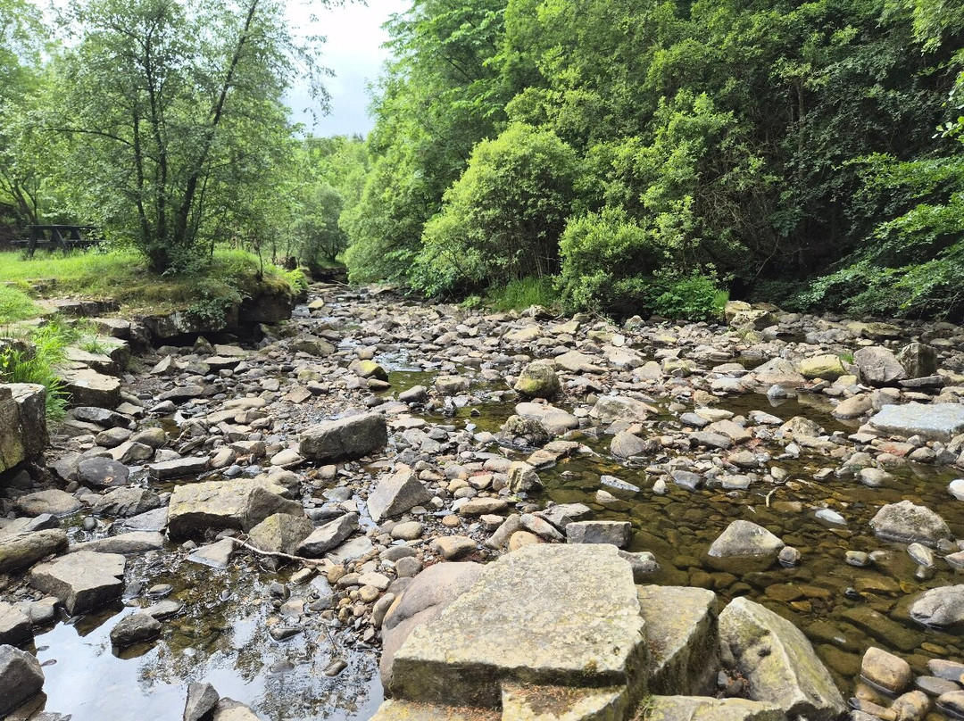 Summerhill Force And Gibsons Cave-Middleton in Teesdale必去景点