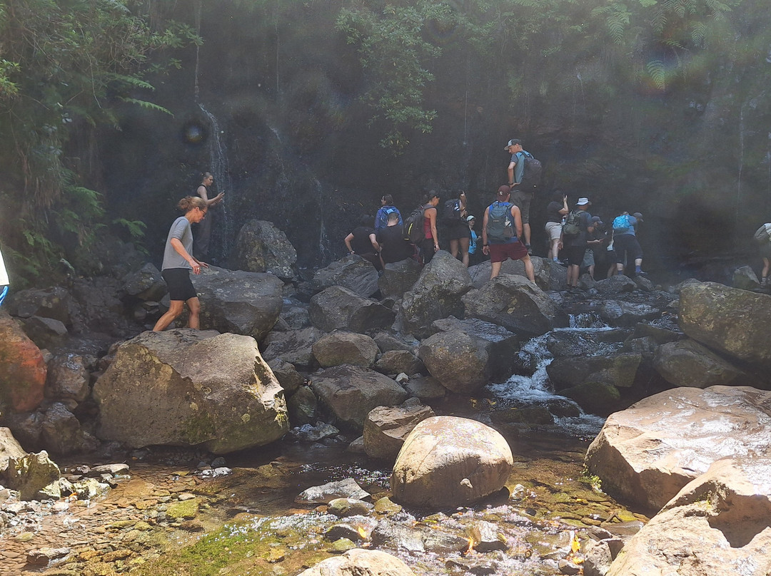25 Fontes and Cascada da Risco-马德拉群岛必去景点