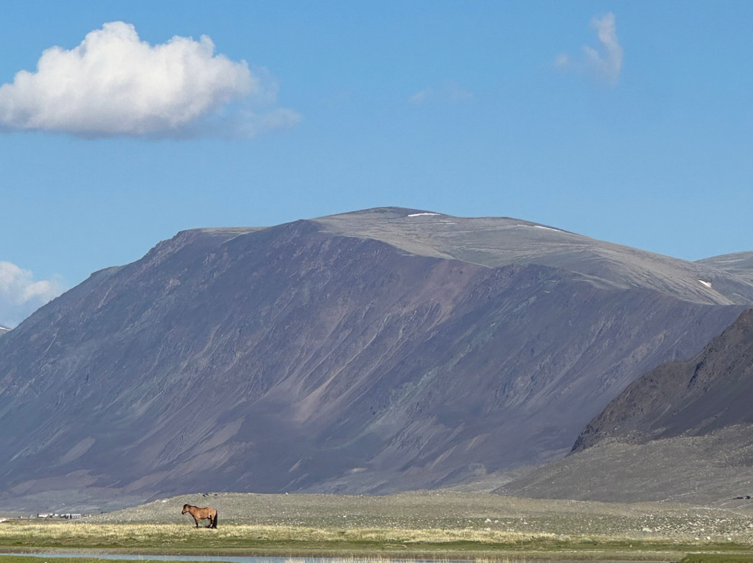 Altai Nomads Travel-Olgiy必去景点