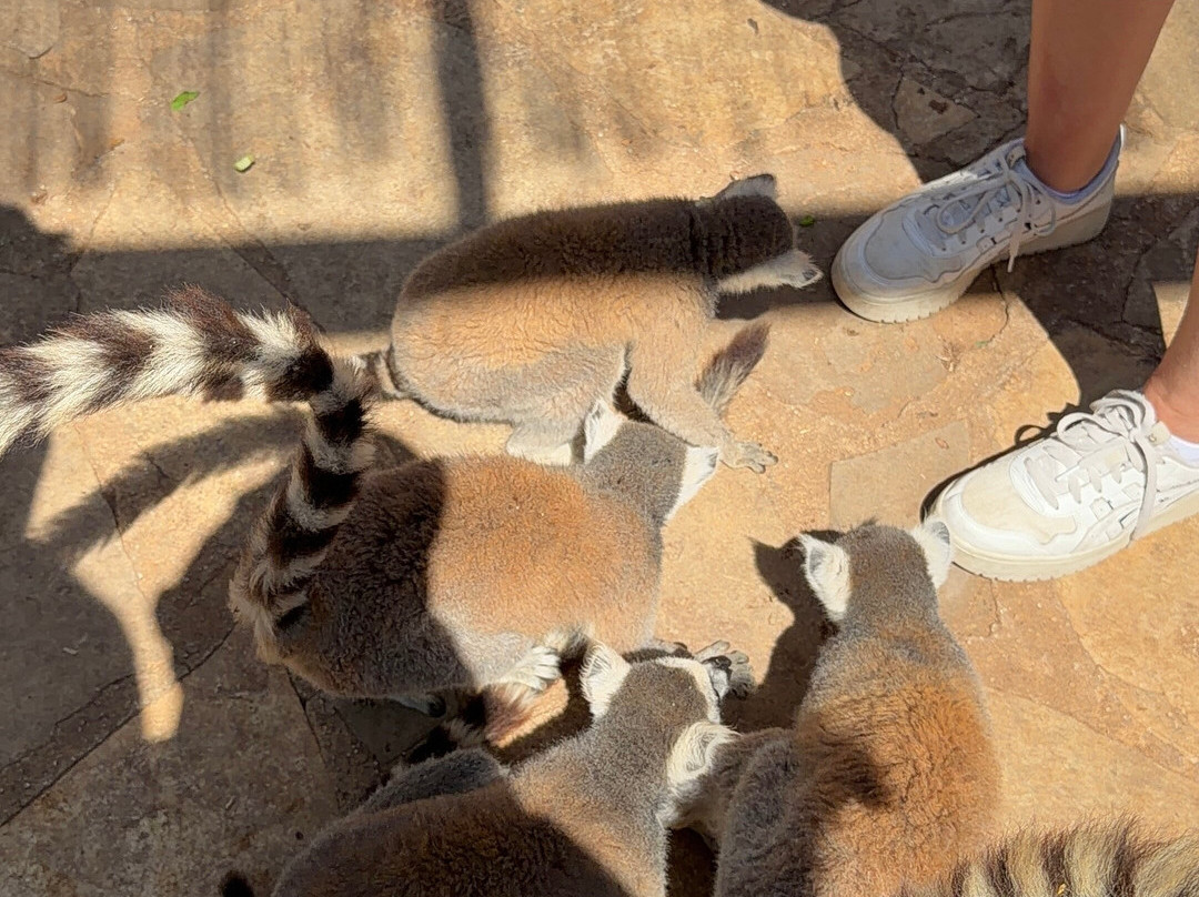 Pafos Zoo-帕福斯必去景点