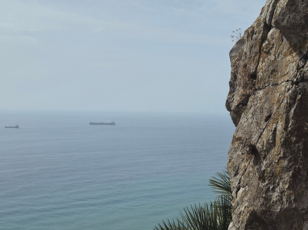 Gibraltar Rock Tours by John Lopez-直布罗陀必去景点