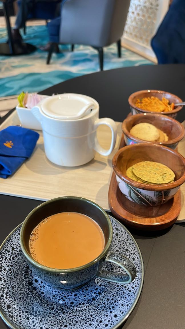 塔吉天际线艾哈迈达巴德酒店-旅行者