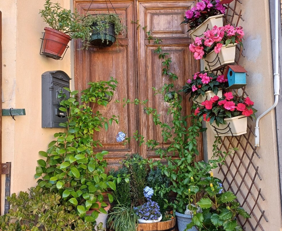 Funicolare di Montecatini Terme-蒙特卡蒂尼－泰尔梅必去景点
