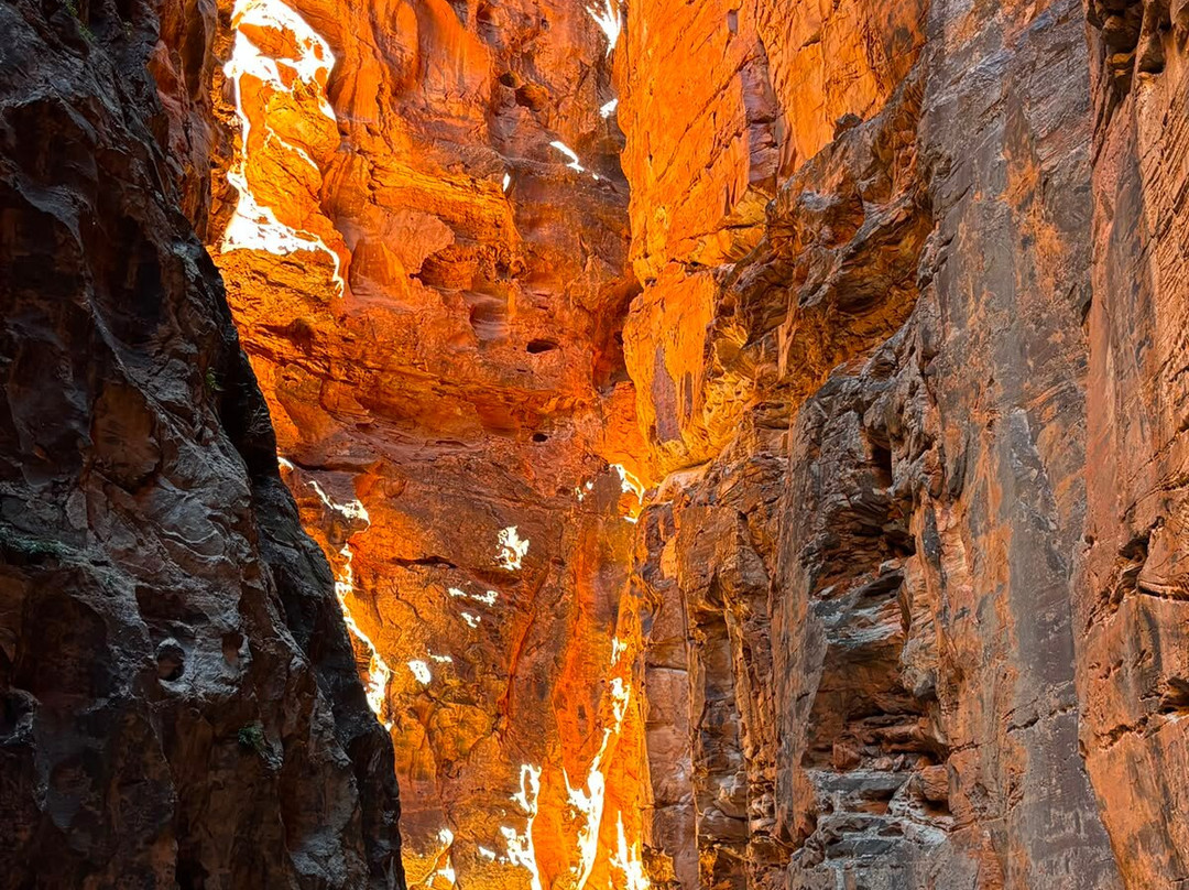 Trek Tours Australia-达尔文市必去景点