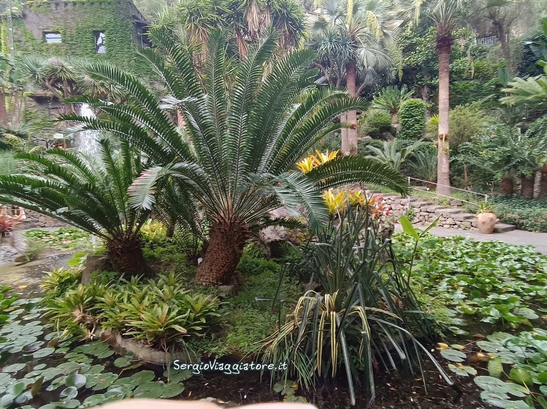 Giardini La Mortella-福里奥必去景点