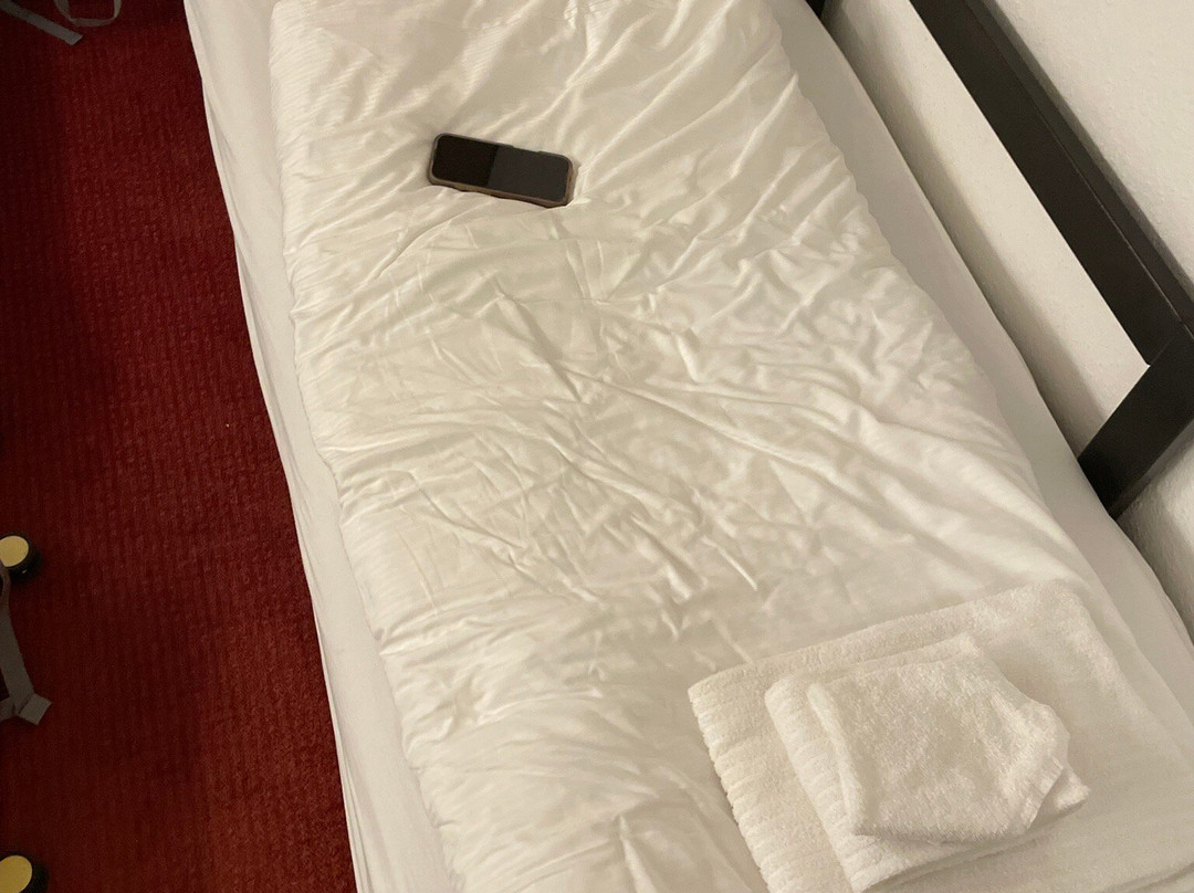 维西斯罗斯酒店主图