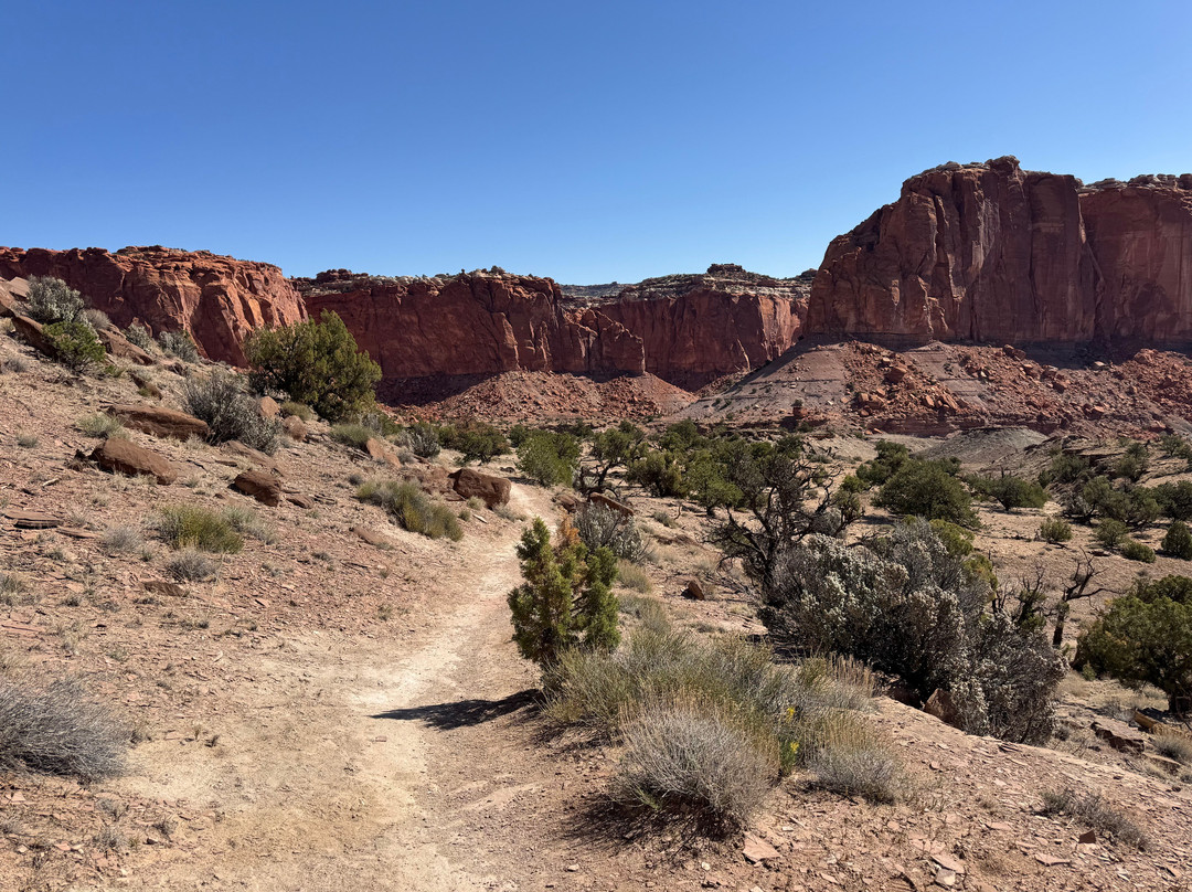 Capitol Reef National Park Visitor Center-圆顶礁国家公园必去景点