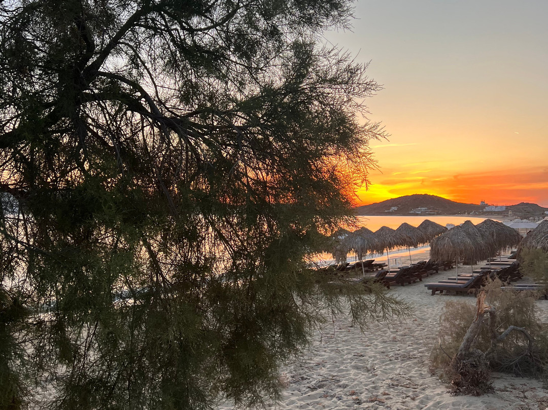 Agia Anna Beach-Agia Anna必去景点