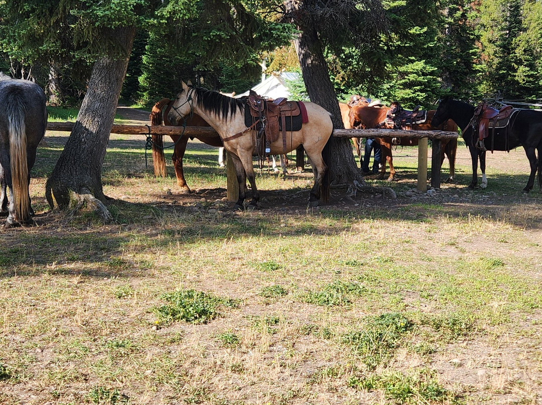 Little Jennie Ranch-Bondurant必去景点