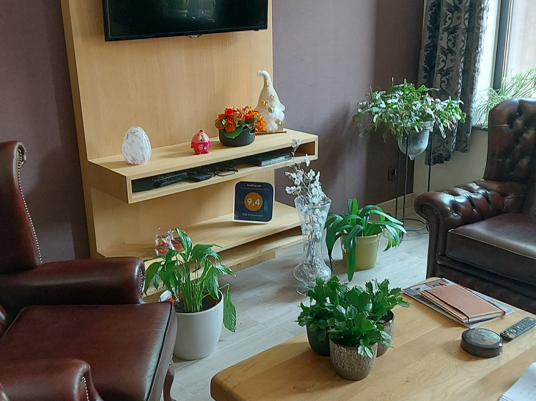 德霍勒霍伊韦住宿加早餐旅馆主图