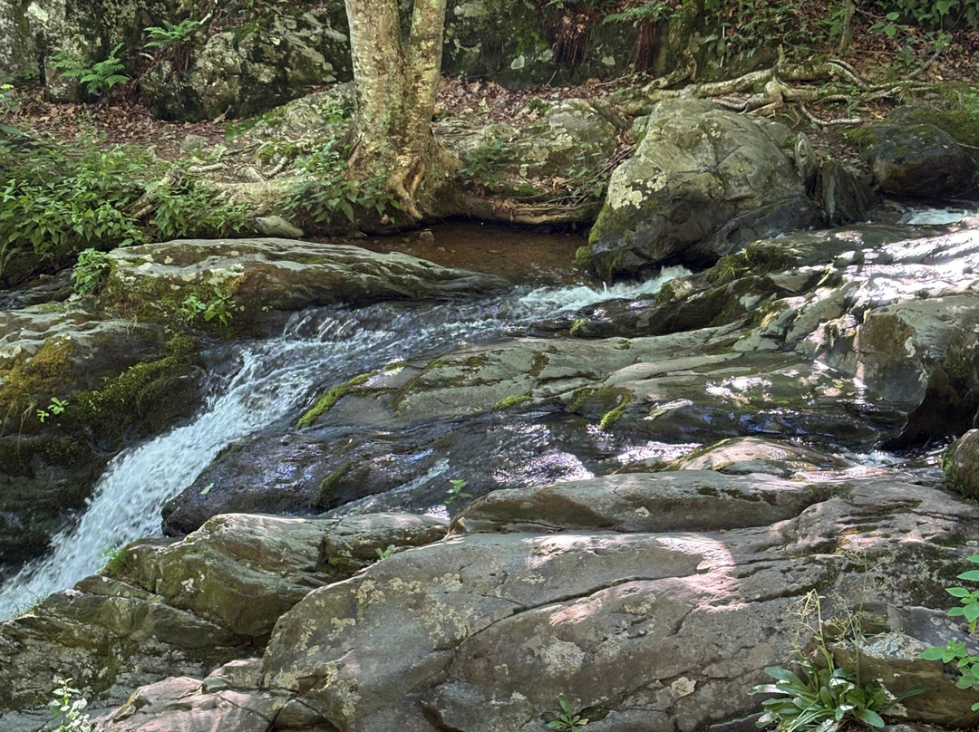 Dark Hollow Falls-雪兰多国家公园必去景点