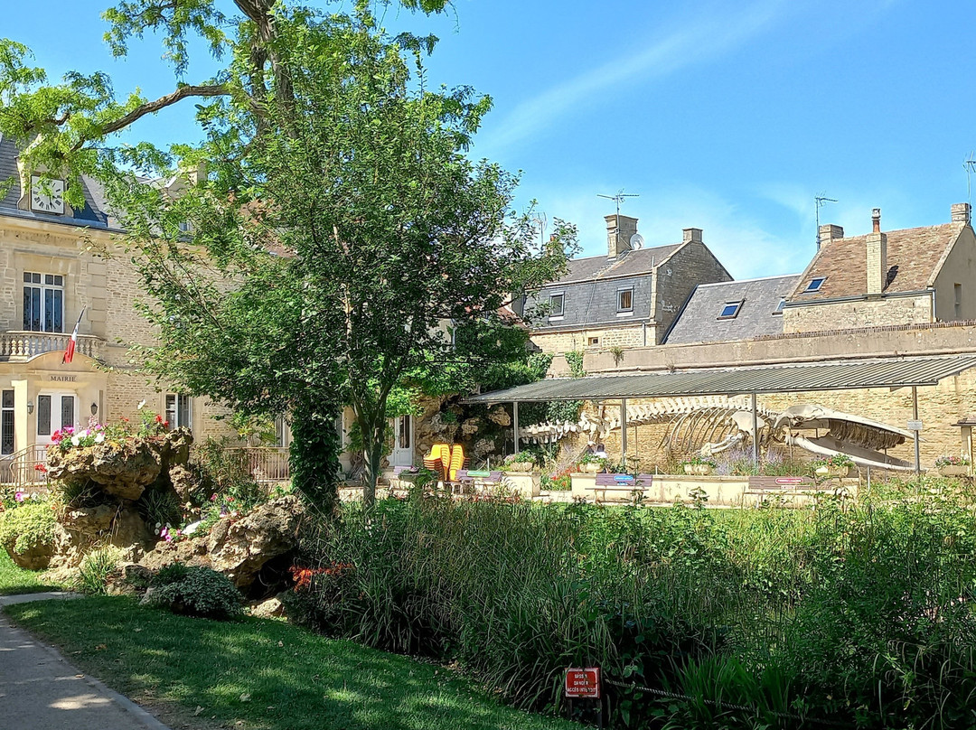 Parc De La Baleine-Luc-sur-Mer必去景点