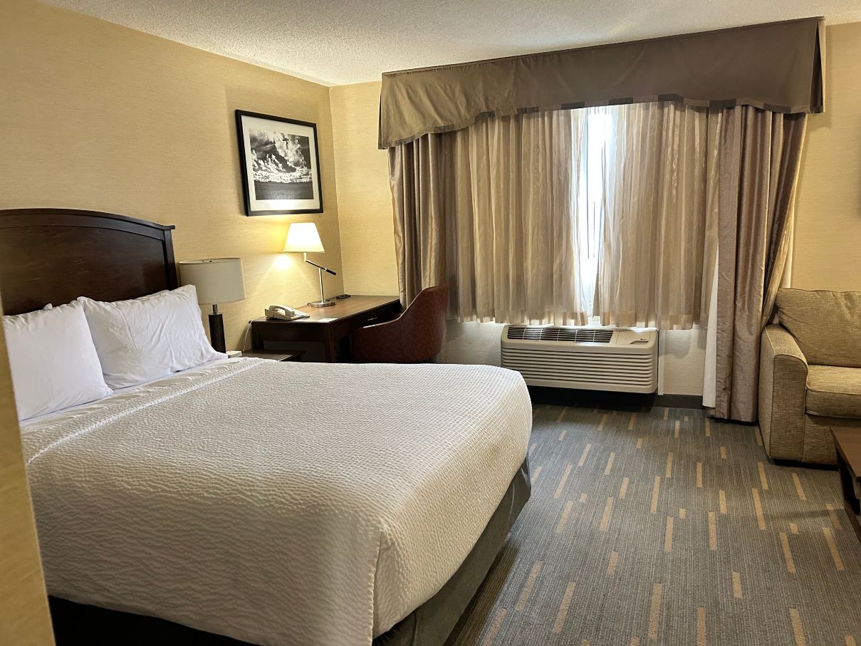 Holiday Inn 莱斯布里奇-客卧
