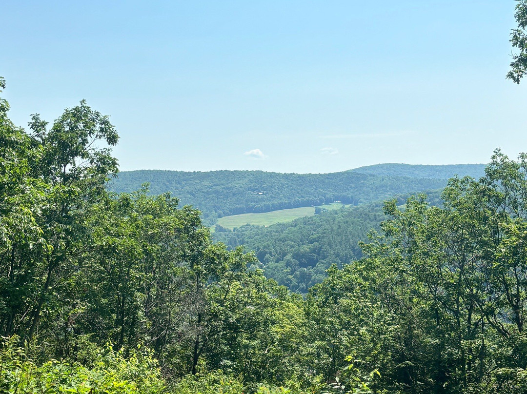 Faulkner Park
