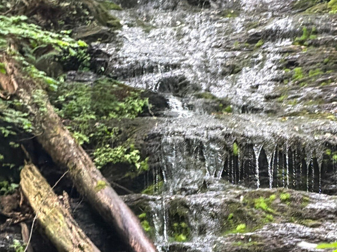 Money Brook Trail-威廉斯敦必去景点
