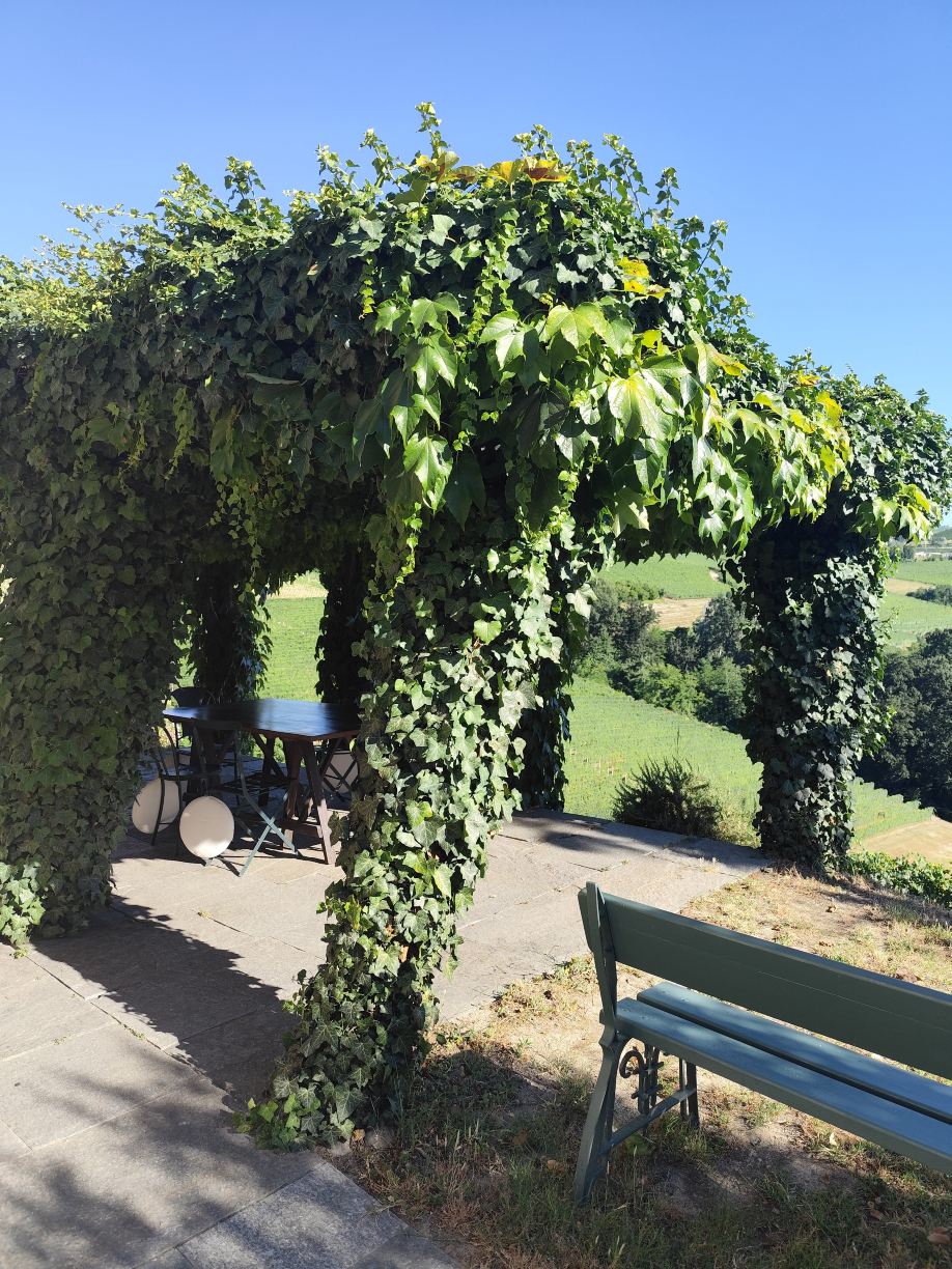 Tenuta Montanello B&B-旅行者