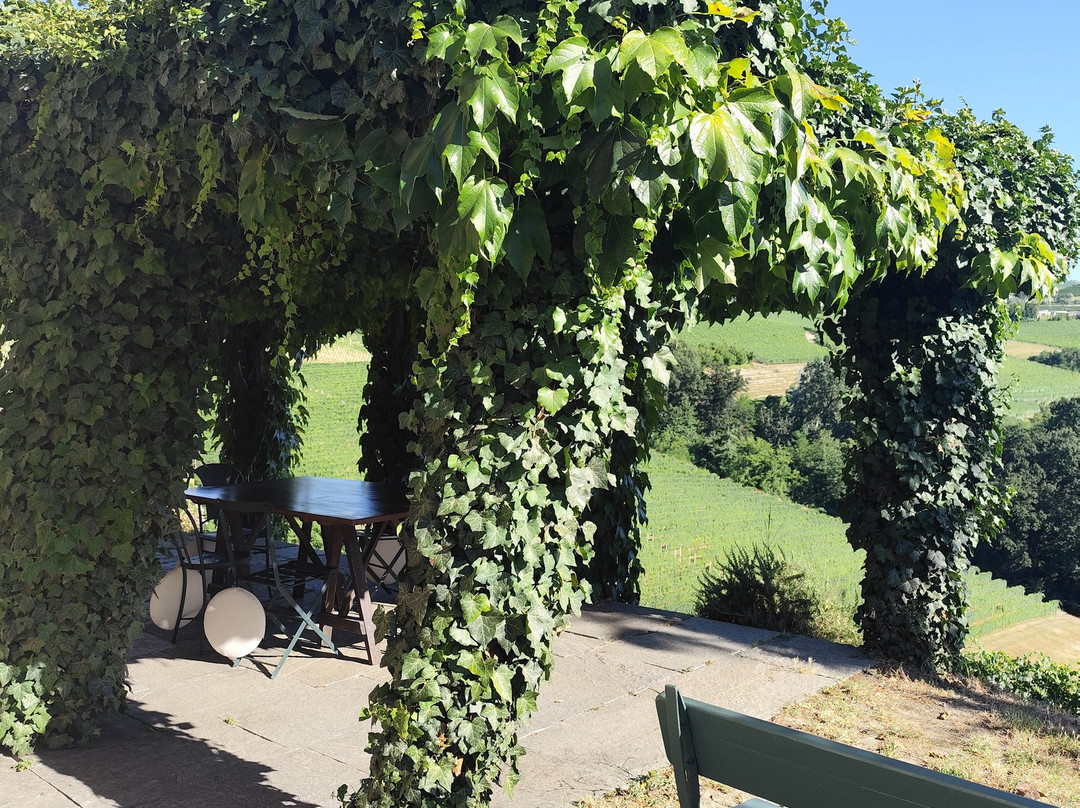 Tenuta Montanello B&B主图