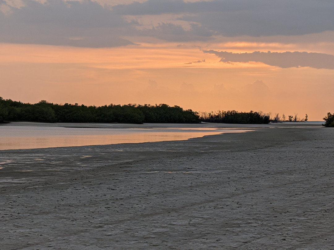 Tigertail Beach-马可岛必去景点