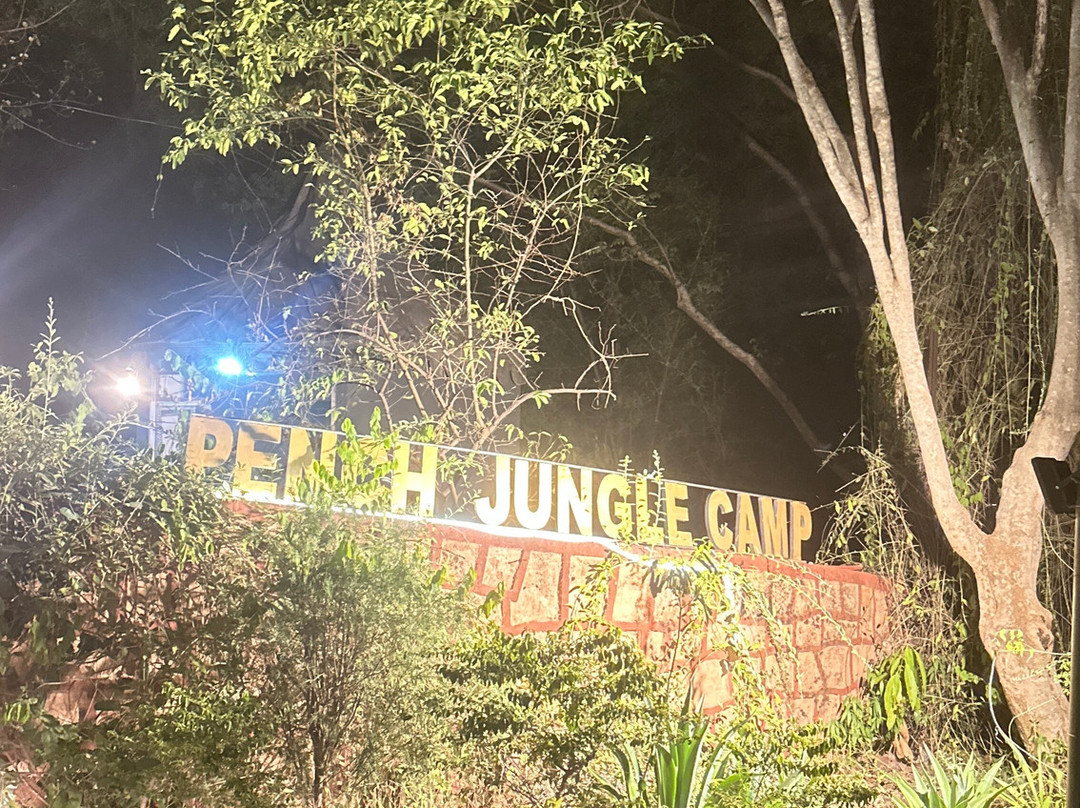 潘趣丛林营地酒店主图