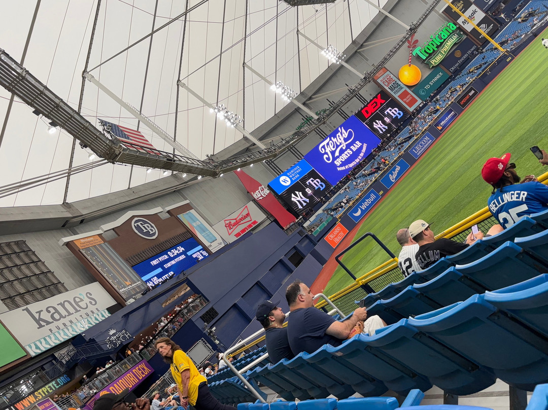 Tropicana Field-圣彼德斯堡必去景点