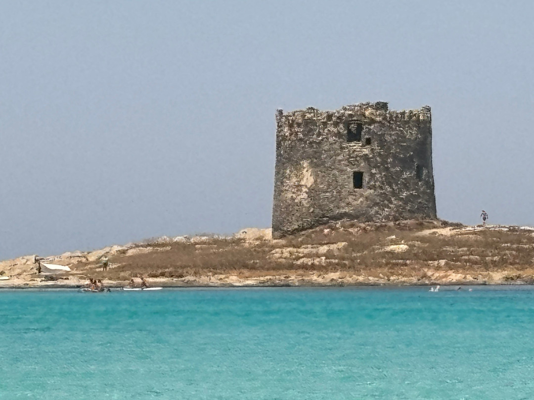 Torre della Pelosa-斯廷蒂诺必去景点