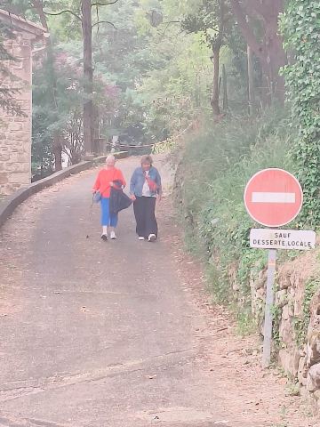 Les Marguerites-旅行者