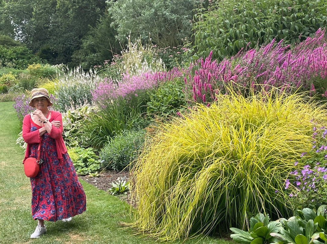 Beth Chatto's Plants & Gardens-科尔切斯特必去景点