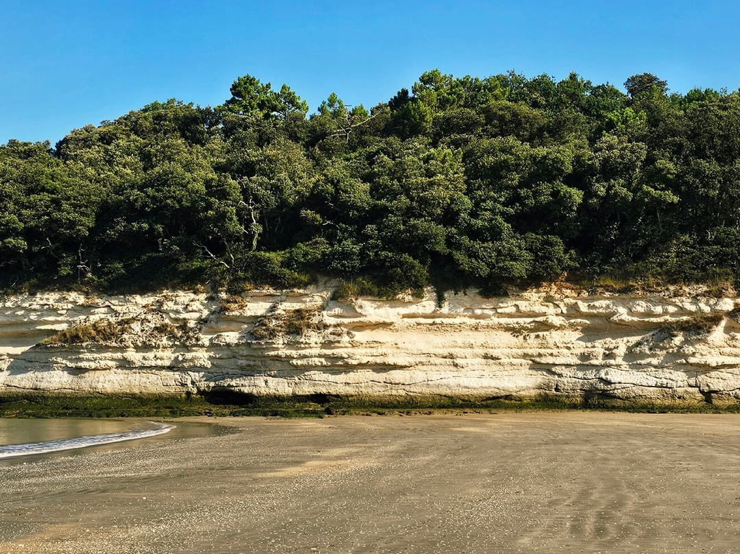 Plage De Suzac-Meschers-sur-Gironde必去景点