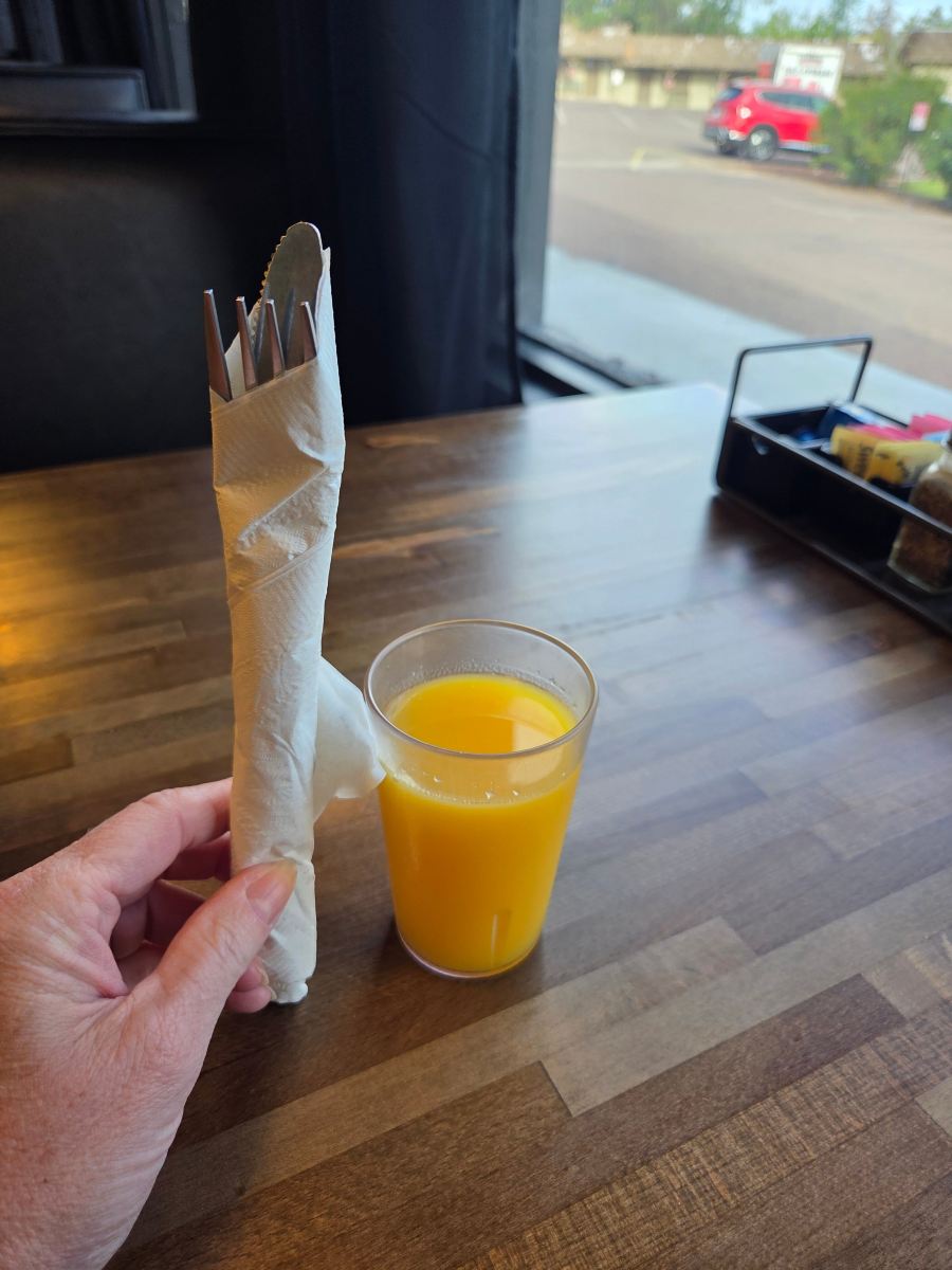 肖洛温德姆戴斯酒店-旅行者