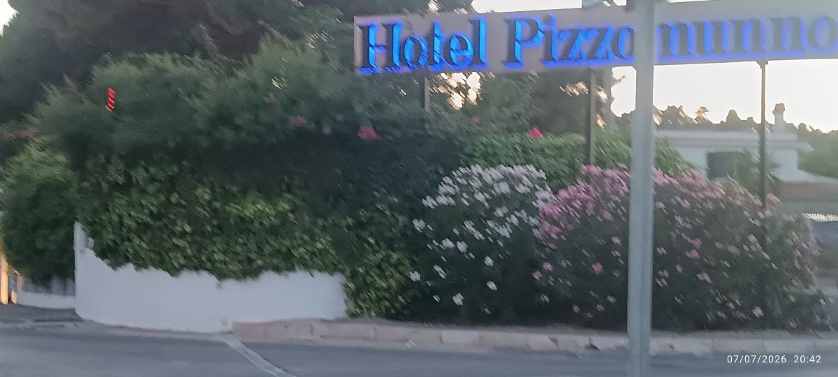 皮佐穆诺维耶斯泰宫酒店-旅行者