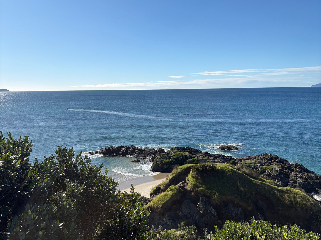 Tawharanui Regional Park-瓦卡沃夫必去景点