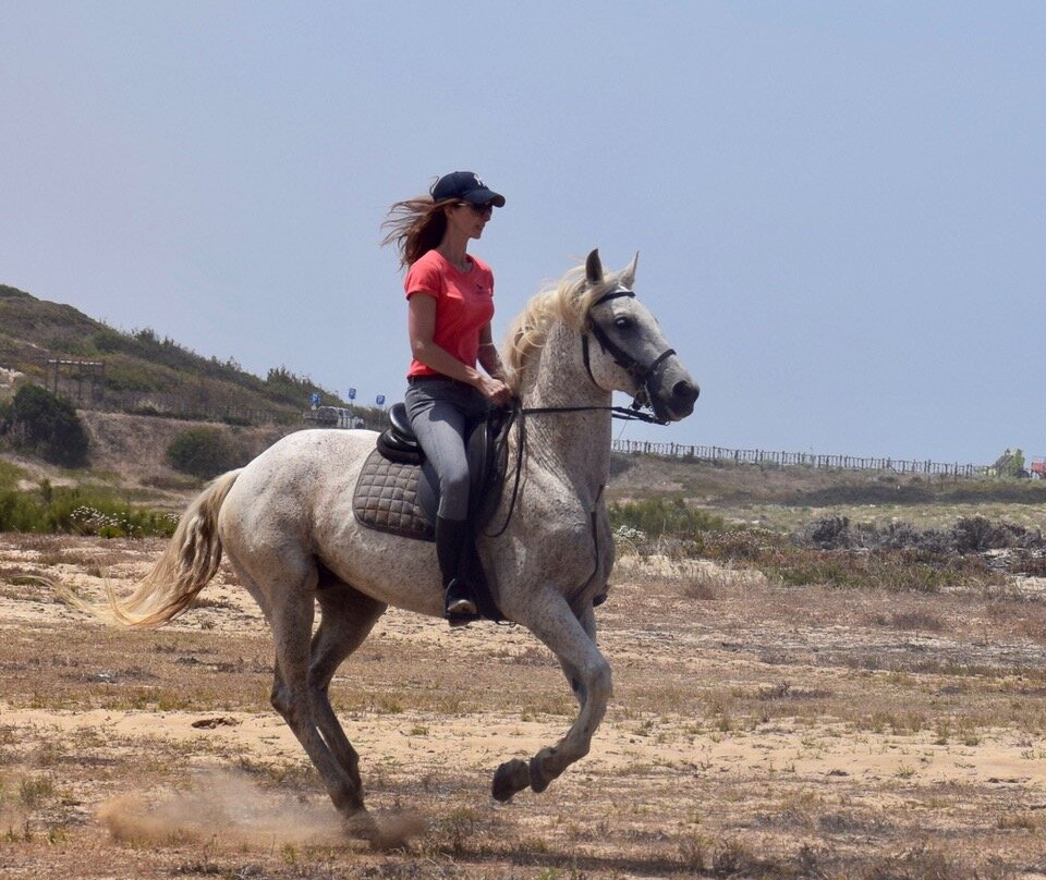 Passeios a Cavalo Melides-Melides必去景点