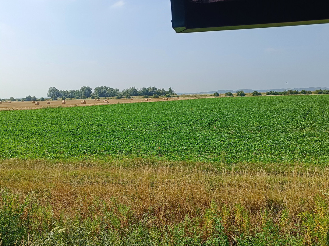 Petit train de la baie de la Somme-Le Crotoy必去景点