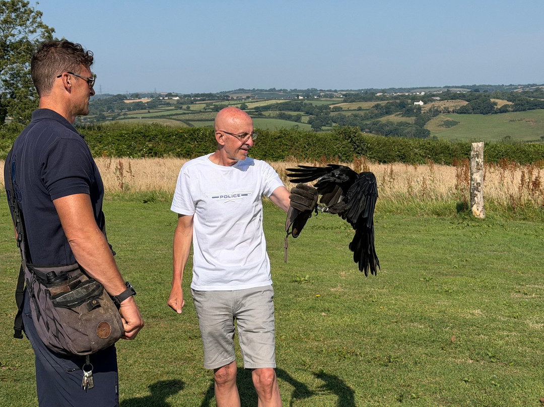 The British Bird of Prey Centre-喀麦登必去景点
