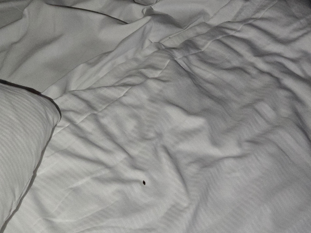 Hotel Sandeshoved Zeedijk主图