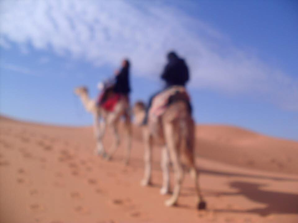 Al Desierto Con Omar-马拉喀什必去景点
