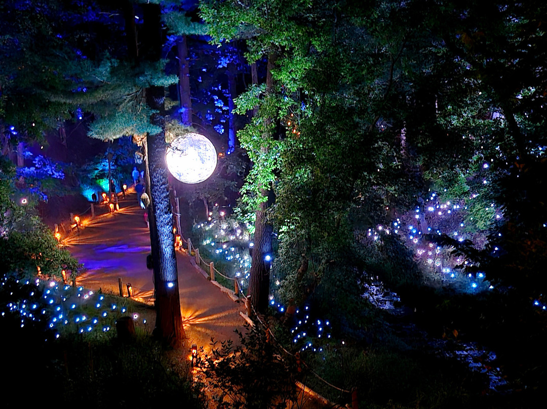 Aquavia Lumina-Lake Delton必去景点